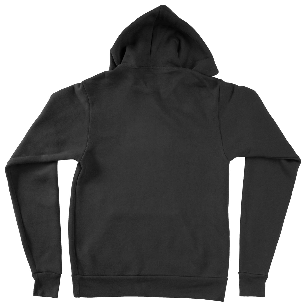 PBS is Punk Hoodie