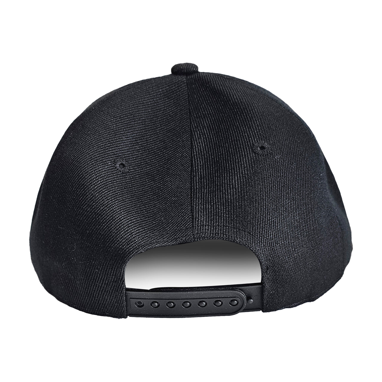 PBS is Punk Embroidered Snapback Hat